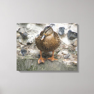 Pato en la imagen de un lienzo de pared