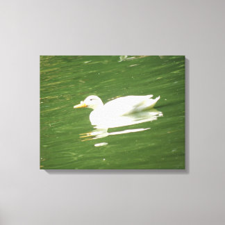 Pato en la impresión de lienzo acuático
