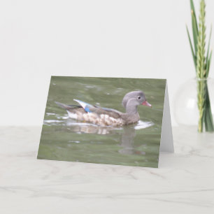 Pato en la tarjeta de felicitación del lago