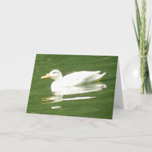 Pato en la tarjeta de saludo de agua