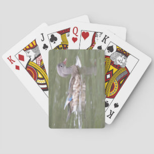 Pato en las cartas de juego del lago