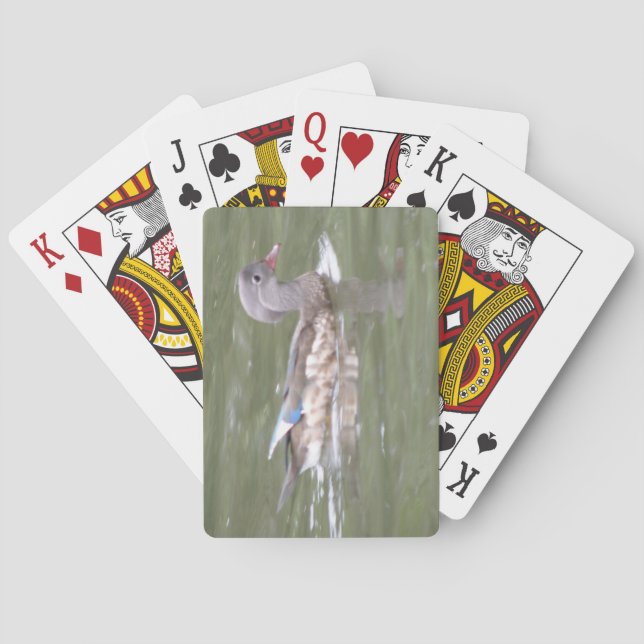 Pato en las cartas de juego del lago (Reverso)