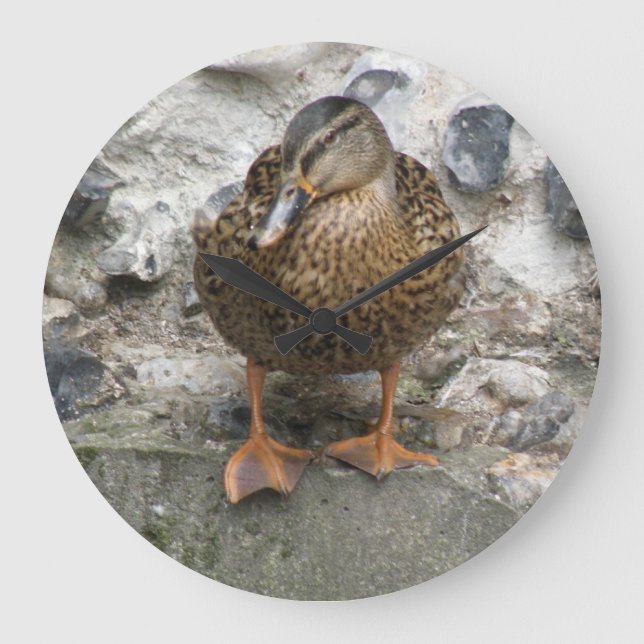 Pato en un reloj de pared (Anverso)
