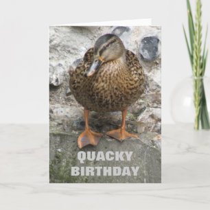 Pato en una pared graciosa tarjeta de cumpleaños P