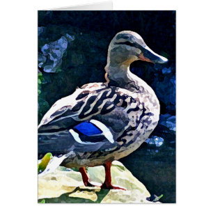 Pato femenino que vigila usted