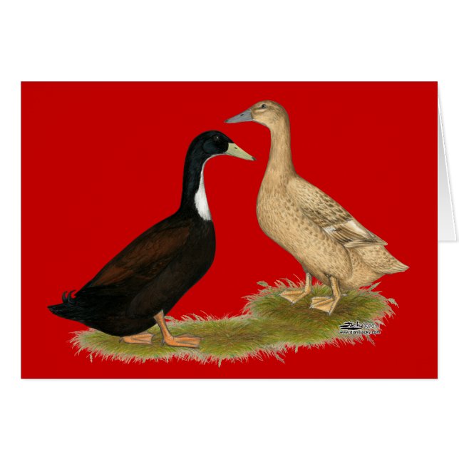 Pato lentador híbrido (Anverso (Horizontal))