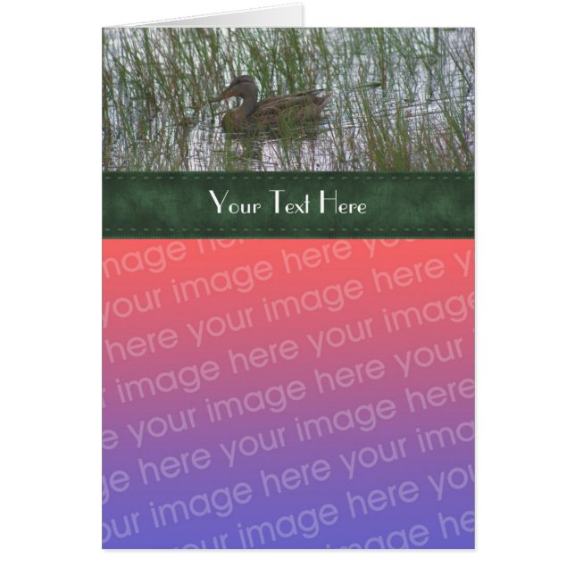 Pato lindo en la naturaleza de los estanques tu ta (Frente)