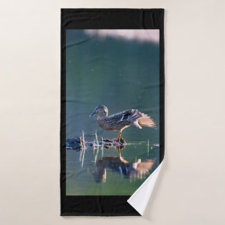 Pato mallard al atardecer