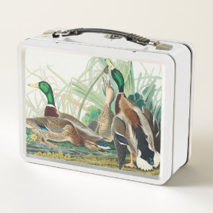 Pato Mallard de Aves de América (Audubon)