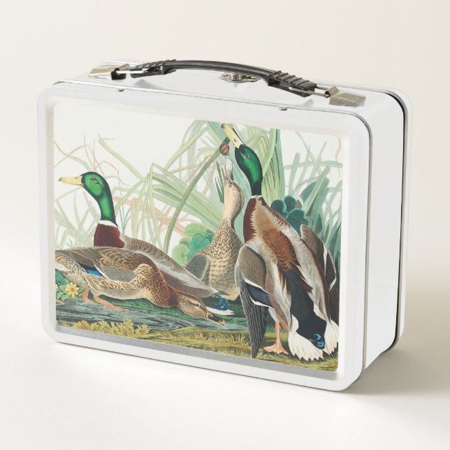 Pato Mallard de Aves de América (Audubon) (Reverso)
