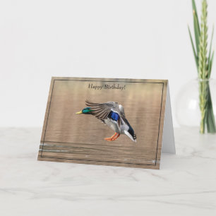 Pato Mallard de la tarjeta de cumpleaños feliz