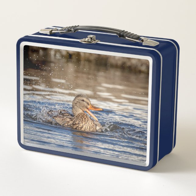 Pato Mallard en Downing Park (Anverso)