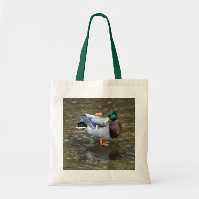 Pato Mallard en la bolsa de la tota de Creek (Frente)