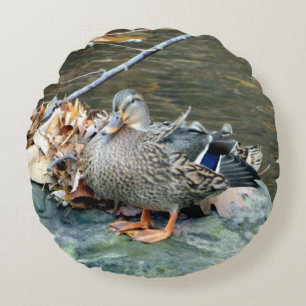 Pato mallard femenino (en roca) Almohada redonda