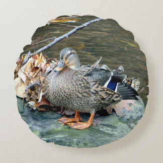 Pato mallard femenino (en roca) Almohada redonda