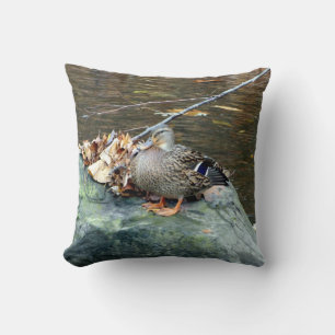 Pato mallard (hembra) sobre almohada de roca mossy