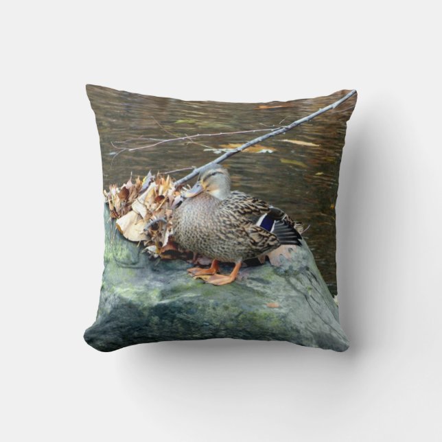 Pato mallard (hembra) sobre almohada de roca mossy (Anverso)