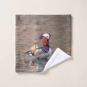 Pato Mandarin