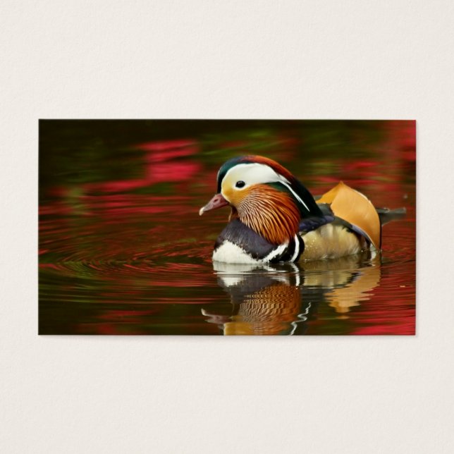 Pato Mandarin (Frente)