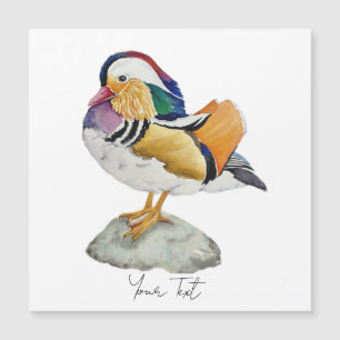 Pato mandarín acuarela