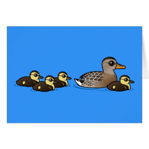 Pato silvestre y cuatro anadones