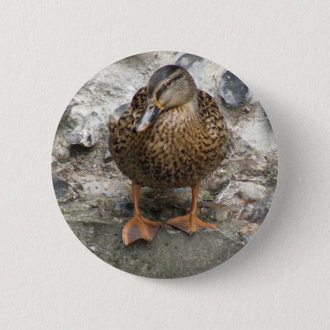 Pato sobre un botón de pared (Anverso)