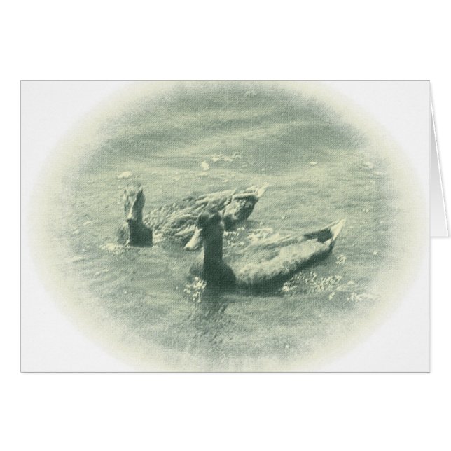Patos (Anverso (Horizontal))