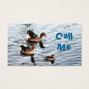 Patos de baño