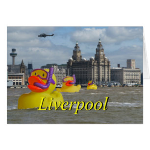 Patos De Caucho En El Mersey