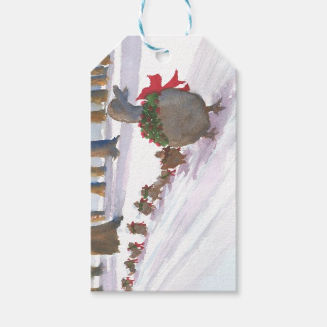 Patos de etiqueta de regalo en Boston Common duran (Anverso)