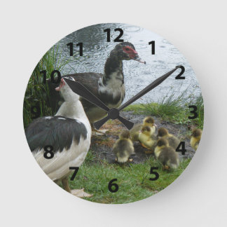 Patos De Muscovina Y Reloj De Pared De Ducklings