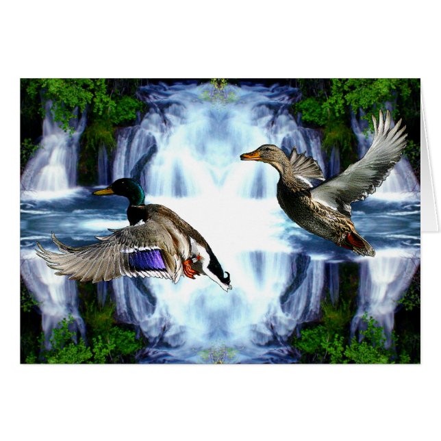 Patos del pato silvestre (Anverso (Horizontal))