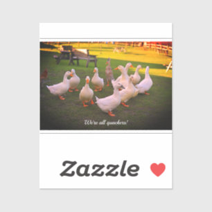 Patos en el parque Gracioso Todos somos Pegatinas 