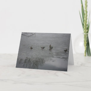 "Patos en hielo" Tarjeta de agradecimiento