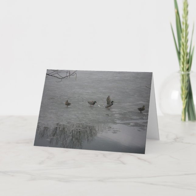 "Patos en hielo" Tarjeta de agradecimiento (Anverso)