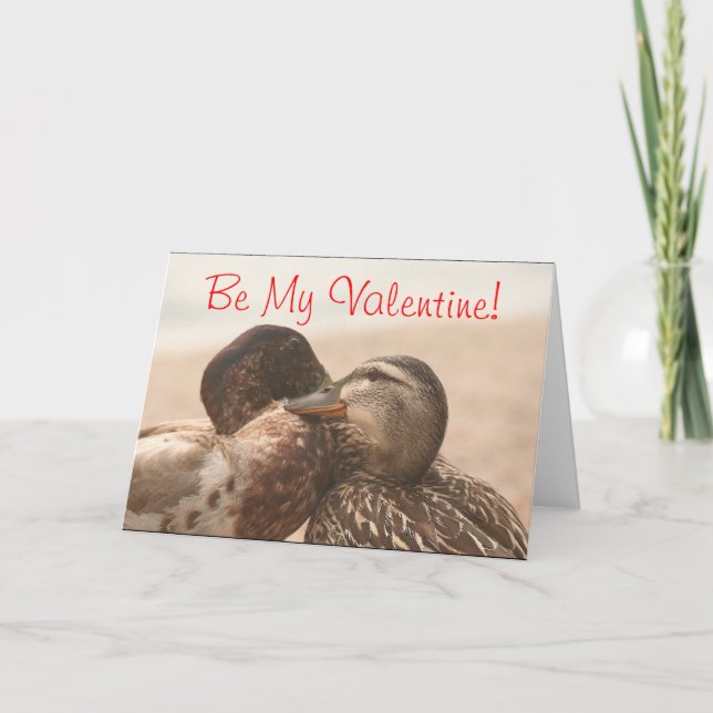 Patos en tarjeta divertida de las tarjetas del día (Anverso)