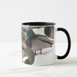 Patos en taza del invierno