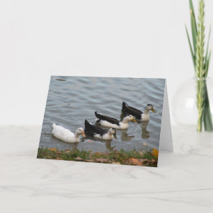 Patos en una tarjeta de felicitación de la fila