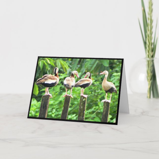 Patos en una tarjeta de felicitación doblada de fi (Anverso)