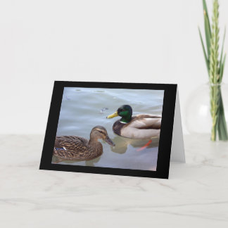 Patos en una tarjeta de la charca