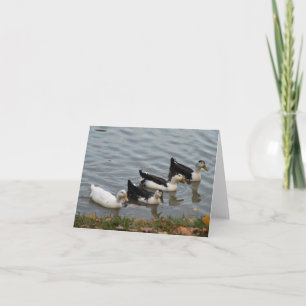 Patos en una tarjeta de nota de fila