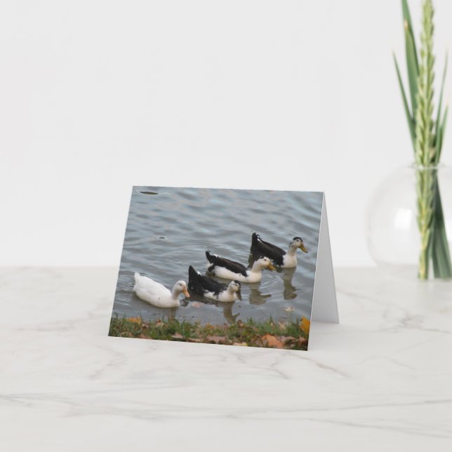 Patos en una tarjeta de nota de fila (Anverso)