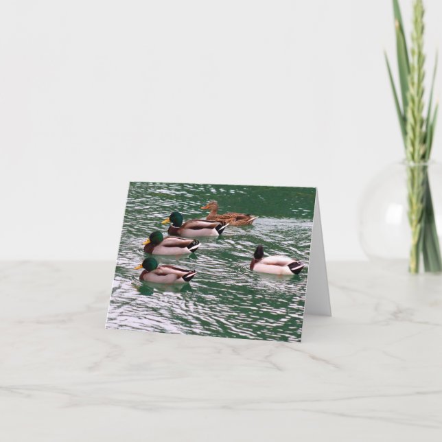 Patos en una tarjeta de nota de fila (en blanco) (Anverso)