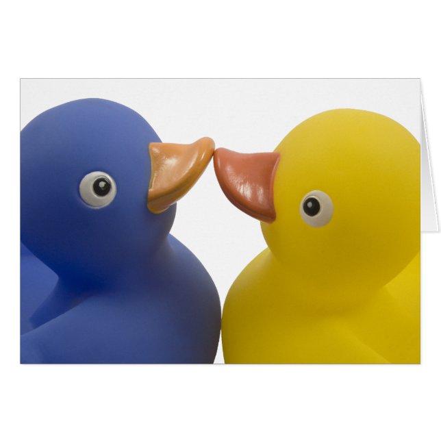 Patos enamorados (Anverso (Horizontal))