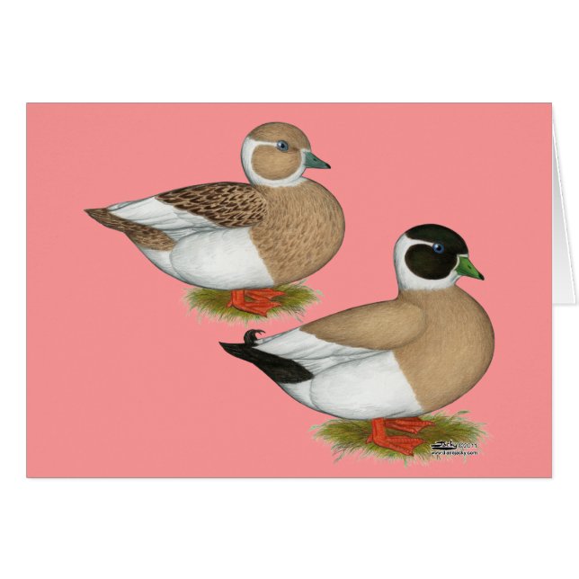 Patos: Llamadas con lápices (Anverso (Horizontal))