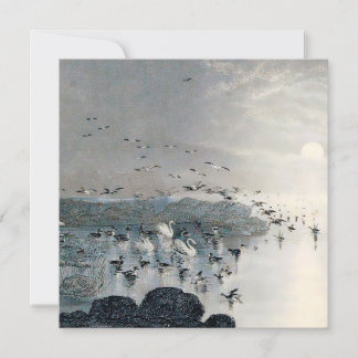 Patos, pajares y cisnes en el lago al atardecer