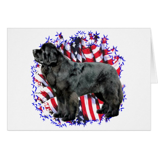 Patriota de Terranova (blk) (Anverso (Horizontal))