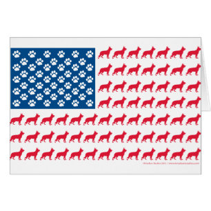 Patriótico de la Bandera de Shepard