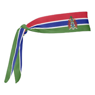 Patriótico elegante de bandera de Gambia