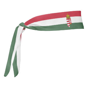 Patriótico elegante de la bandera de Hungría